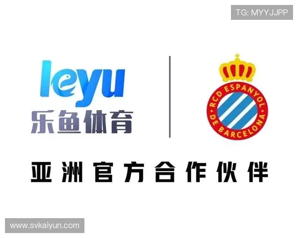 乐鱼体育的风险管理策略与合规性分析